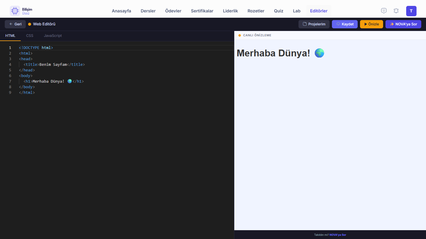Web Editörü
